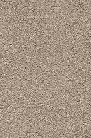 Ковролин AW Vivendi Punch 34 фото 1 | FLOORDEALER